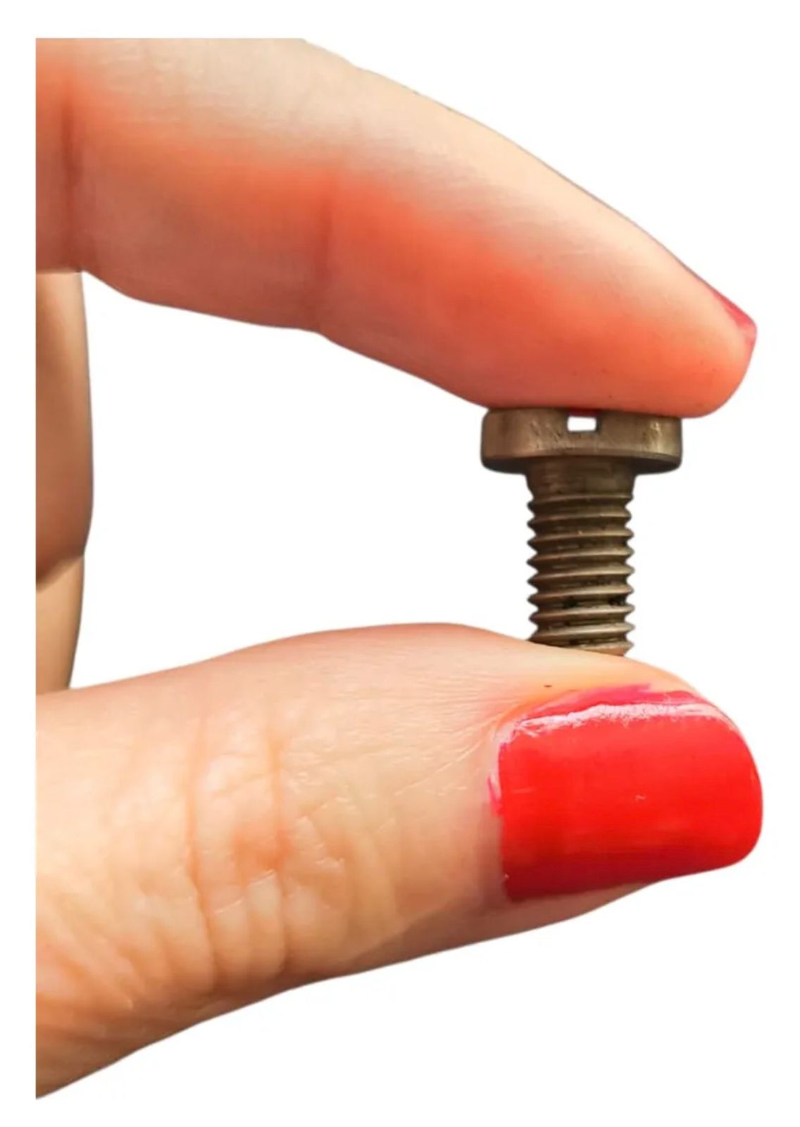 Tornillo para sujetar la cuchilla campana - imagen 2
